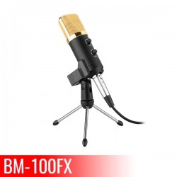 BM-100FX Professional Condenser Microphone