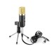 BM-100FX Professional Condenser Microphone