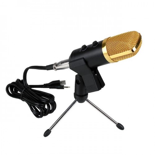 BM-100FX Professional Condenser Microphone