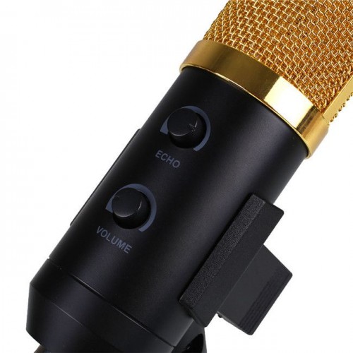 BM-100FX Professional Condenser Microphone