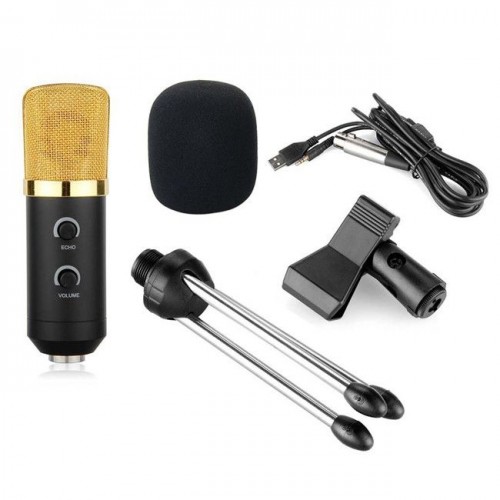BM-100FX Professional Condenser Microphone