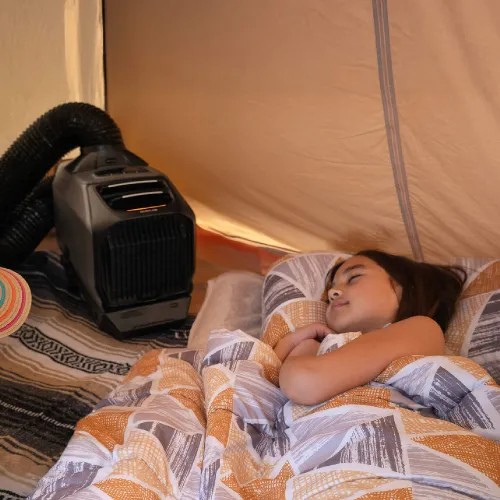 EcoFlow WAVE 3 Hot & Cool Portable AC